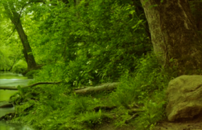 Beginning with Lazaris