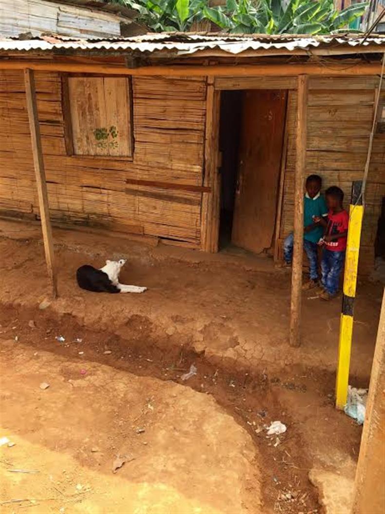 Colombian Journey 2015: Entry #10