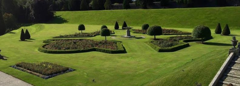 Blog: Colombian Journey 2015: Entry #9 . . . Let Me Digress