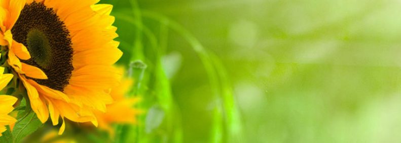 Blog: On Reincarnation and Parallel and Overlapping Lifetimes "Other Lives, Other Times"