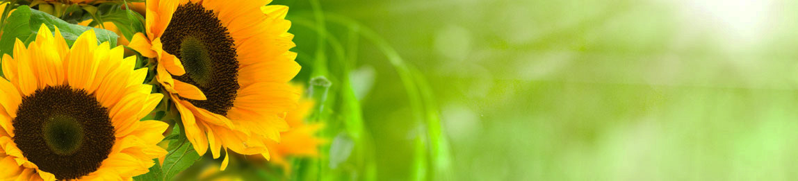 On Reincarnation and Parallel and Overlapping Lifetimes "Other Lives, Other Times"