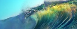 A Cresting Wave of Hope for the Future (Video)