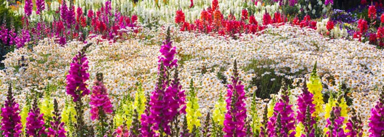 Beyond the Need to Control