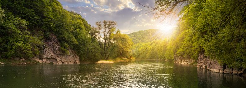 Blog: Bringing In The New World