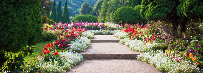 Coming Home: The First Step