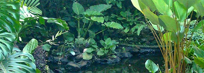 Blog: Forgiveness II: A Look Deeper