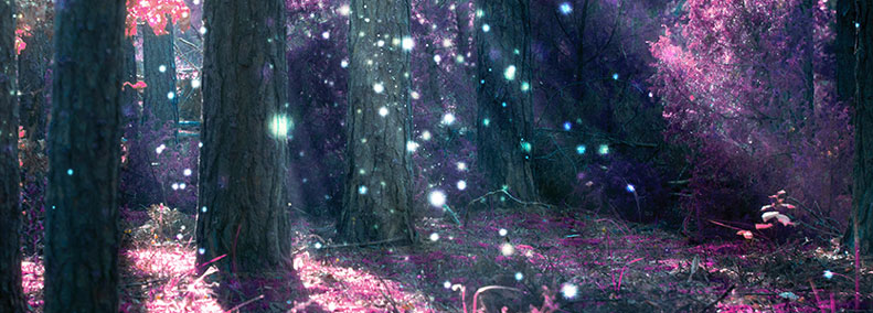 Gift of Mystical Choice