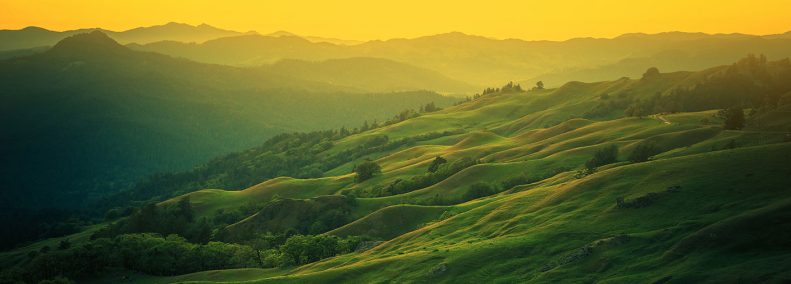 Blog: Healing: The Journey from Illness to Health