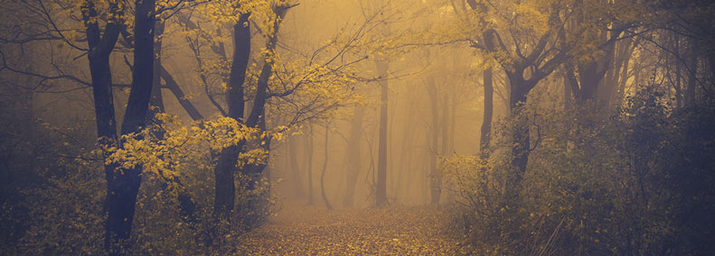 Our Magic is Getting Ahead of Us