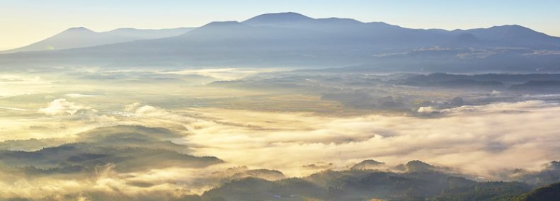 Blog: Puzzle Pieces from the Middle (excerpt)