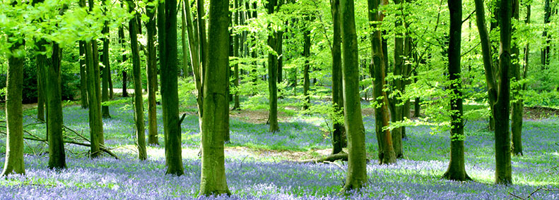 The Seven Faces of Soul, Part 2