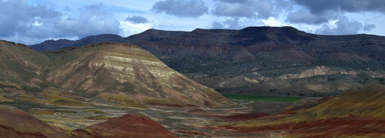 Blog: The Tiers of Emotion