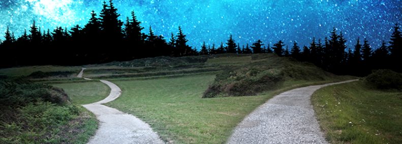 Blog: A Rabbit Hole of a Different Nature (excerpt)