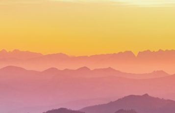 2008 Year of Freedom