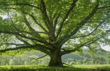 The Lazaris Legacy Series