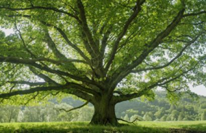 The Lazaris Legacy Series