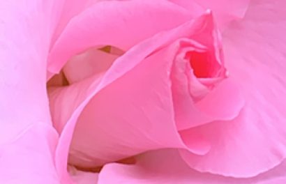 Magic in the Telling