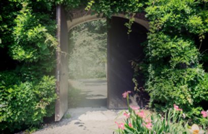 Opening the Magic Door