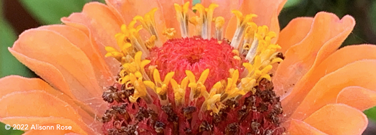 The Magic of Receiving