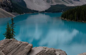 2002 Year of Creation and Manifestation