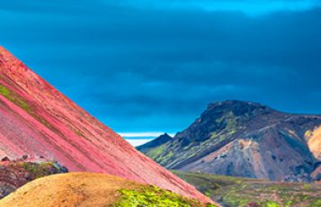 2003 Year of Expansion