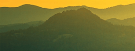 Four Gifts for Harnessing Crisis (A Meditation) (audio)