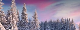 A Lazaris Blending: Opening to Joy: Healing and Changing What You Want
