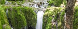 A Lazaris Blending: A Time to Heal, Love, Change and Create