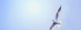 A Lazaris Blending: Remembering and Awakening Your Grace