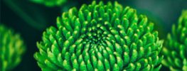 A Lazaris Blending, A Time to Touch: Receiving from Your Future Self