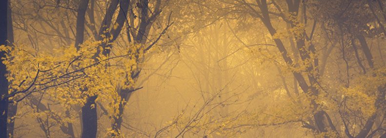 Blog: Empowering Your Imagination