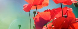 A Lazaris Blending: Stepping Beyond the Illusion into the Realness of Love