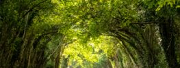 A Lazaris Blending, A Time to Touch: Magic Beyond the Narrows