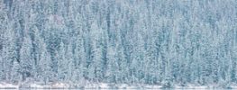Allowing Chaos to Become Your Ally (Free)