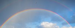 Circle of Forgiveness Meditation