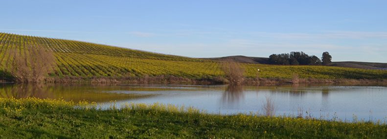 Blog: Electromagnetic Energy & Crop Circles