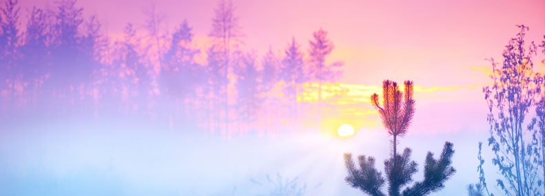 Blog: On Deeper Understanding