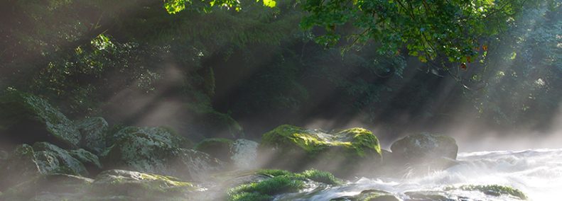 Blog: Guidelines for Evaluating Channeling