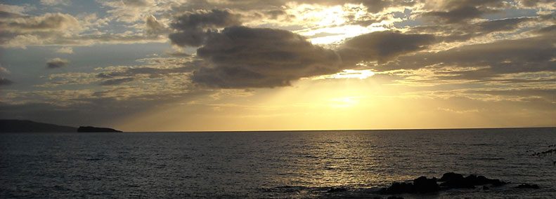 Blog: In Search of the Truer Self