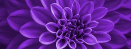 A Lazaris Blending, A Time to Touch: Receiving Healing from Your Soul
