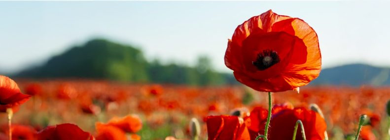 Blog: Chronic Illness is a Spiritual Journey