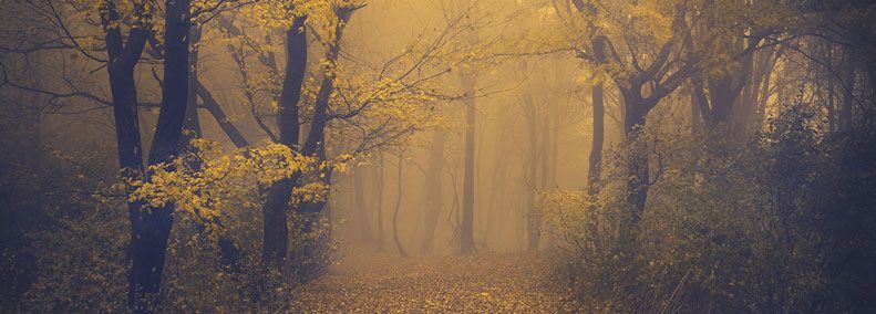 Blog: Our Magic is Getting Ahead of Us
