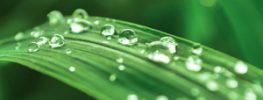 A Lazaris Blending, A Time to Touch: Healing for Humankind