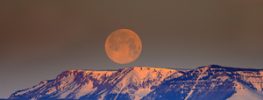 A Lazaris Blending: Embracing Hope in a World Becoming New