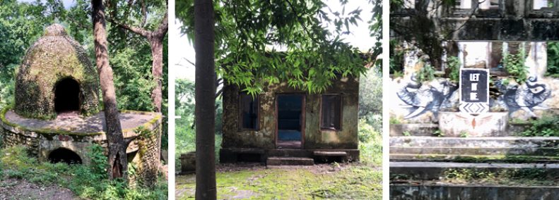 Blog: The Quest in India #5