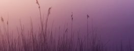 A Lazaris Blending: Sparking Greater Imagination