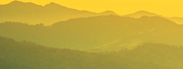 Healing the Broken Alliances: Finding Peace
