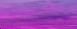Awakening the Essences of Beauty and of Remembering (audio)