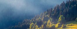 A Lazaris Blending, A Time to Touch: Receiving the Healing you Dream of